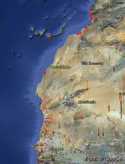 Sildemker i nordvest Afrika